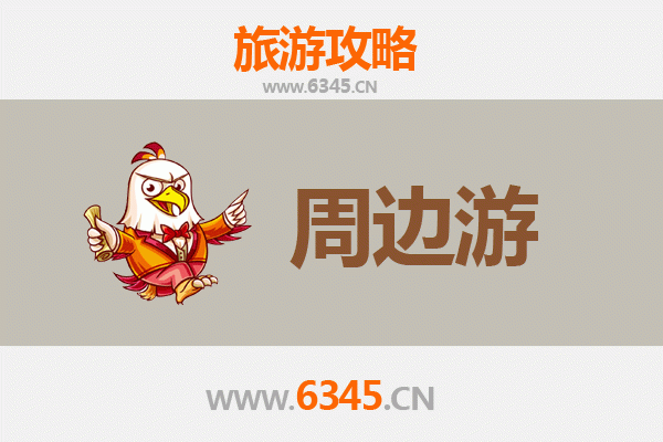 淄博桓台周边游全攻略：探索齐鲁风情，品味古韵与现代交融